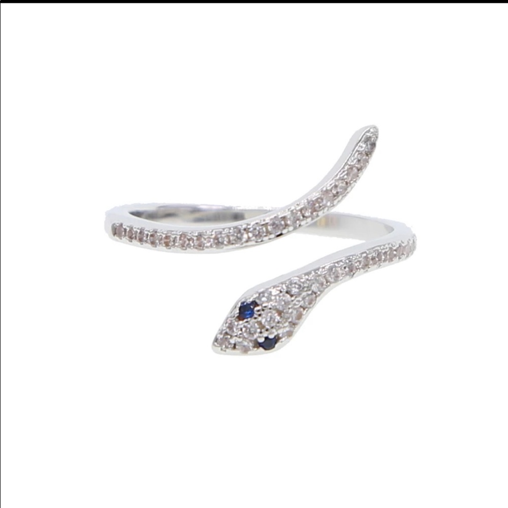🐍 Snake Ring